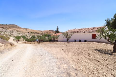 Landejendom i Lorca, Murcia, Lorca - € 399.950 | Ref: 2283-CH - foto 47